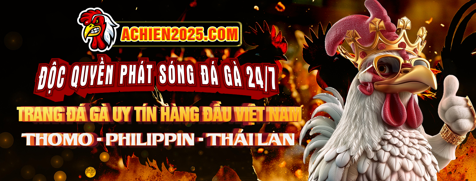 banner-achien2025